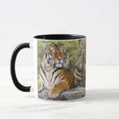 Mug Temple tigre et bouddhiste (Gauche)