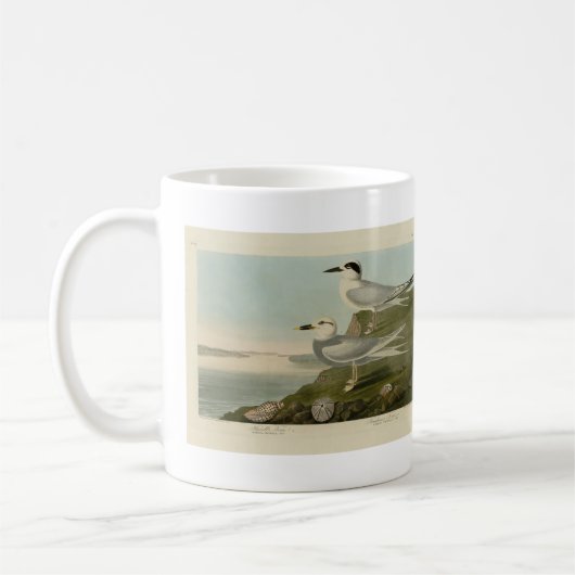Mug Tern Audubon Birds of America de Havell et Trudeau (Gauche)