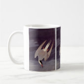 Mug Terne arctique par John James Audubon, Oiseaux Vin (Gauche)