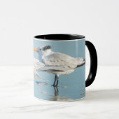 Mug Terns (Devant droit)