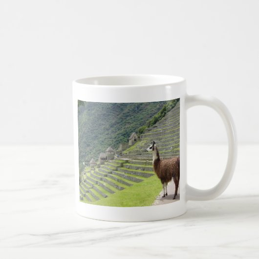 Mug terres du llama (Droite)
