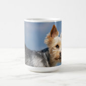 Mug Terrier du Yorkshire (Centre)