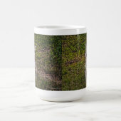 Mug Terrier Schnauzer race de chiens de chiens de chie (Centre)