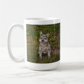 Mug Terrier Schnauzer race de chiens de chiens de chie (Gauche)