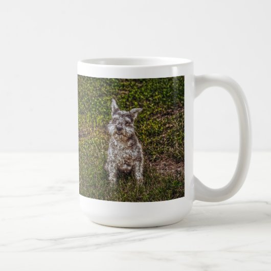 Mug Terrier Schnauzer race de chiens de chiens de chie (Droite)
