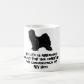 Mug Terrier tibétain (Centre)