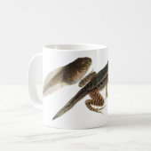 Mug Têtard à la grenouille : Trois étapes de (Devant gauche)