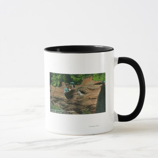 Mug Têtes exposées dans les trous de noeud de séquoia (Droite)