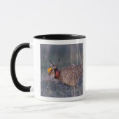 Mug Tétras des prairies, Tympanuchus (Gauche)