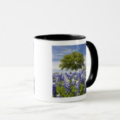 Mug Texas bluebonnets (lupinus texensis) et chêne (Devant droit)