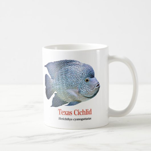 Mug Texas Cichlid (Droite)