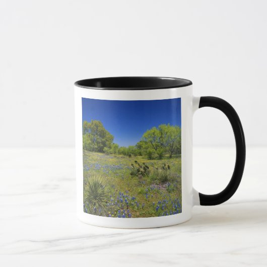 Mug Texas, Texas Hill Country, Low bladderpod, (Droite)