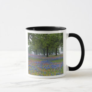 Mug Texas, Texas Hill Country, Texas Paintbrush et