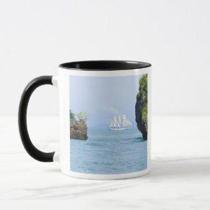 Mug Thaïlande, mer d'Andaman. Navire de presse Star Fy