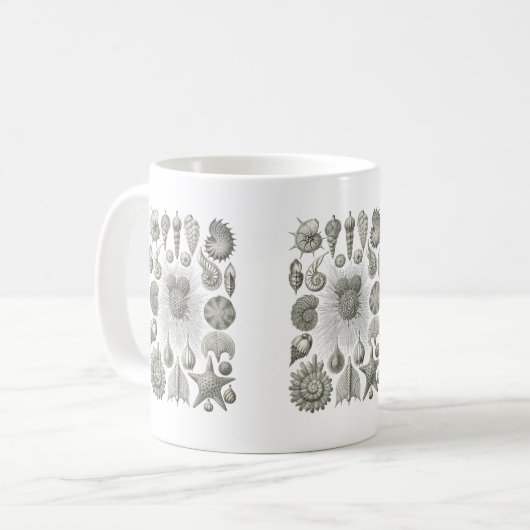 Mug Thalamophora (Devant gauche)