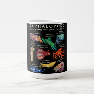 Mug The Cephalopod Octopus Squid Cuttlefish