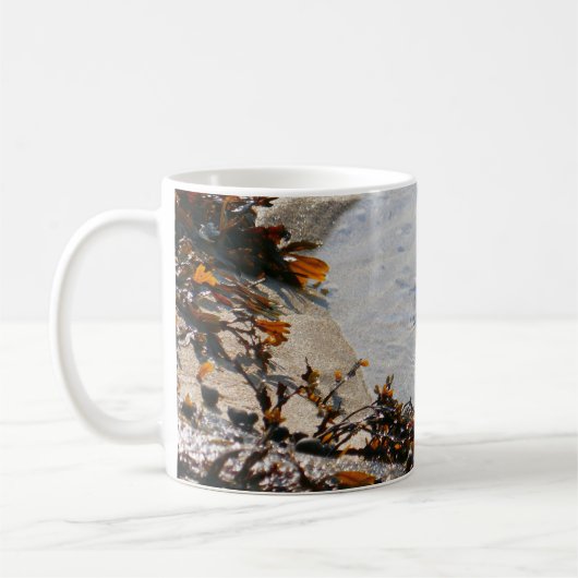 Mug Tidepool at Sand Beach (Gauche)