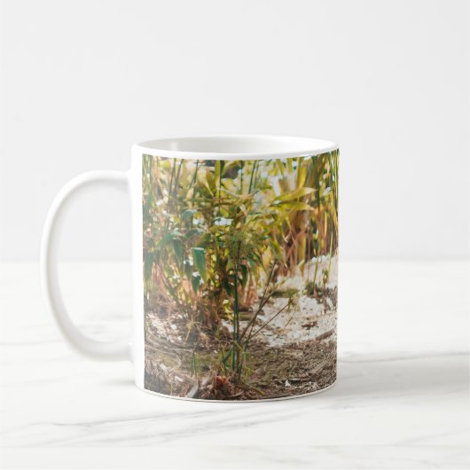 MUG TIGER BROWN DANS LE GESTE DE MARCHE (Gauche)