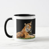 Mug Tiger Closeup (Gauche)
