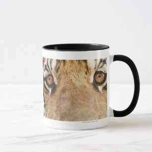 Mug Tigre