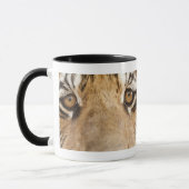 Mug Tigre (Gauche)