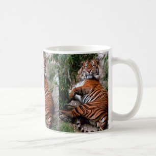 Mug Tigre