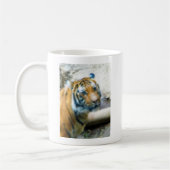 Mug Tigre (Gauche)