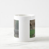 Mug Tigre blanc se dorant (Centre)