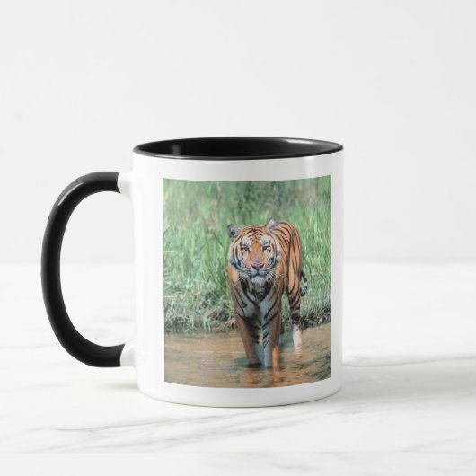 Mug Tigre dans l'eau (Gauche)
