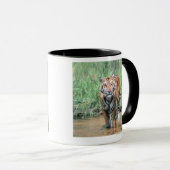 Mug Tigre dans l'eau (Devant droit)