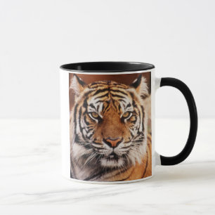 Mug Tigre de Sumatra