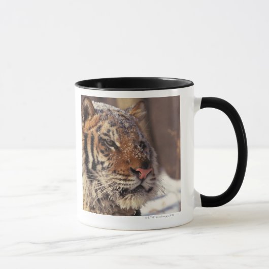 Mug Tigre sibérien (Droite)