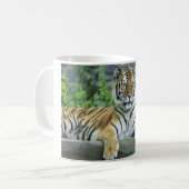 Mug Tigre, sibérien (Devant gauche)