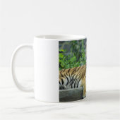 Mug Tigre, sibérien (Gauche)