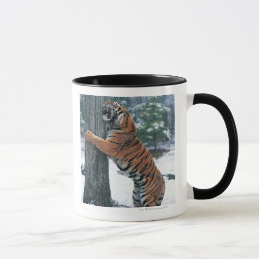 Mug Tigre sibérien (altaica du Tigre de Panthera) (Droite)