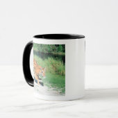 Mug Tigre sur le chemin (Devant gauche)
