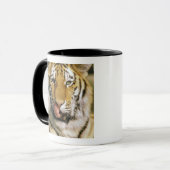Mug Tigre Zoo du Michigan (Devant gauche)