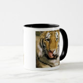 Mug Tigre Zoo du Michigan (Devant droit)