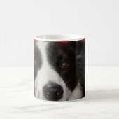 Mug Tim border collie (Centre)