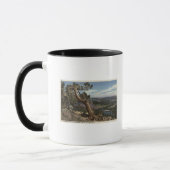 Mug Timberline sur Mammoth Crest (Gauche)