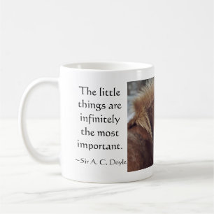 Mug Timmy !
