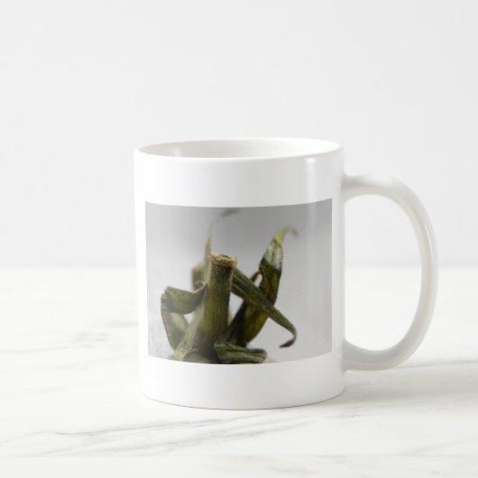 Mug Tomate (Droite)