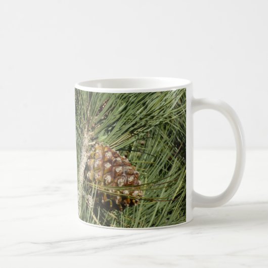 Mug Torrey Pine Closeup California Botanical (Droite)