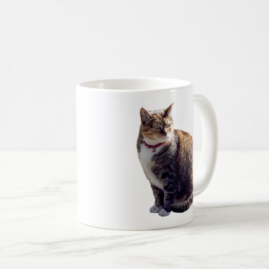 Mug Tortoiseshell (Devant droit)