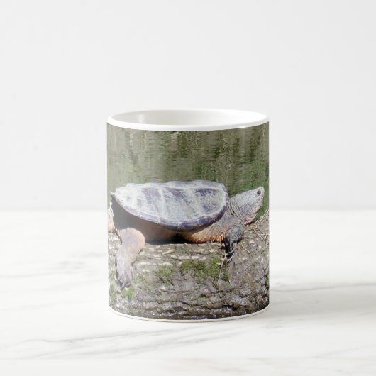 Mug Tortue (Centre)