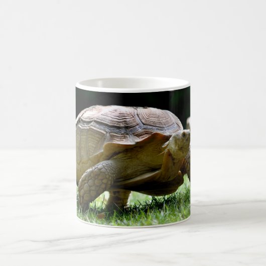 Mug Tortue africaine poussée marchant sur une carte po (Centre)