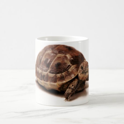 Mug Tortue de repos (Centre)