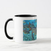 Mug Tortue et bancs de poissons (Gauche)