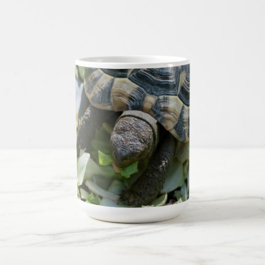 Mug Tortue mignonne (Centre)