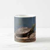 Mug Tortue peinte sur un bûcher (Centre)